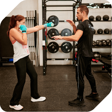 trainer galley image 8